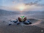La carezza della pioggia